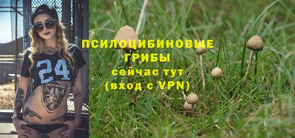 первитин Абинск