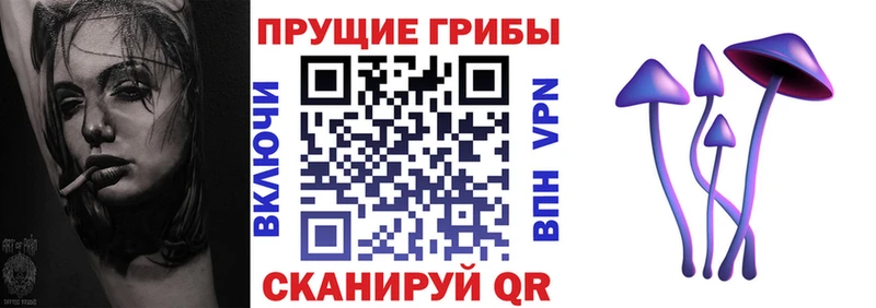 продажа наркотиков  дарк нет наркотические препараты  Галлюциногенные грибы Cubensis  Сурск 